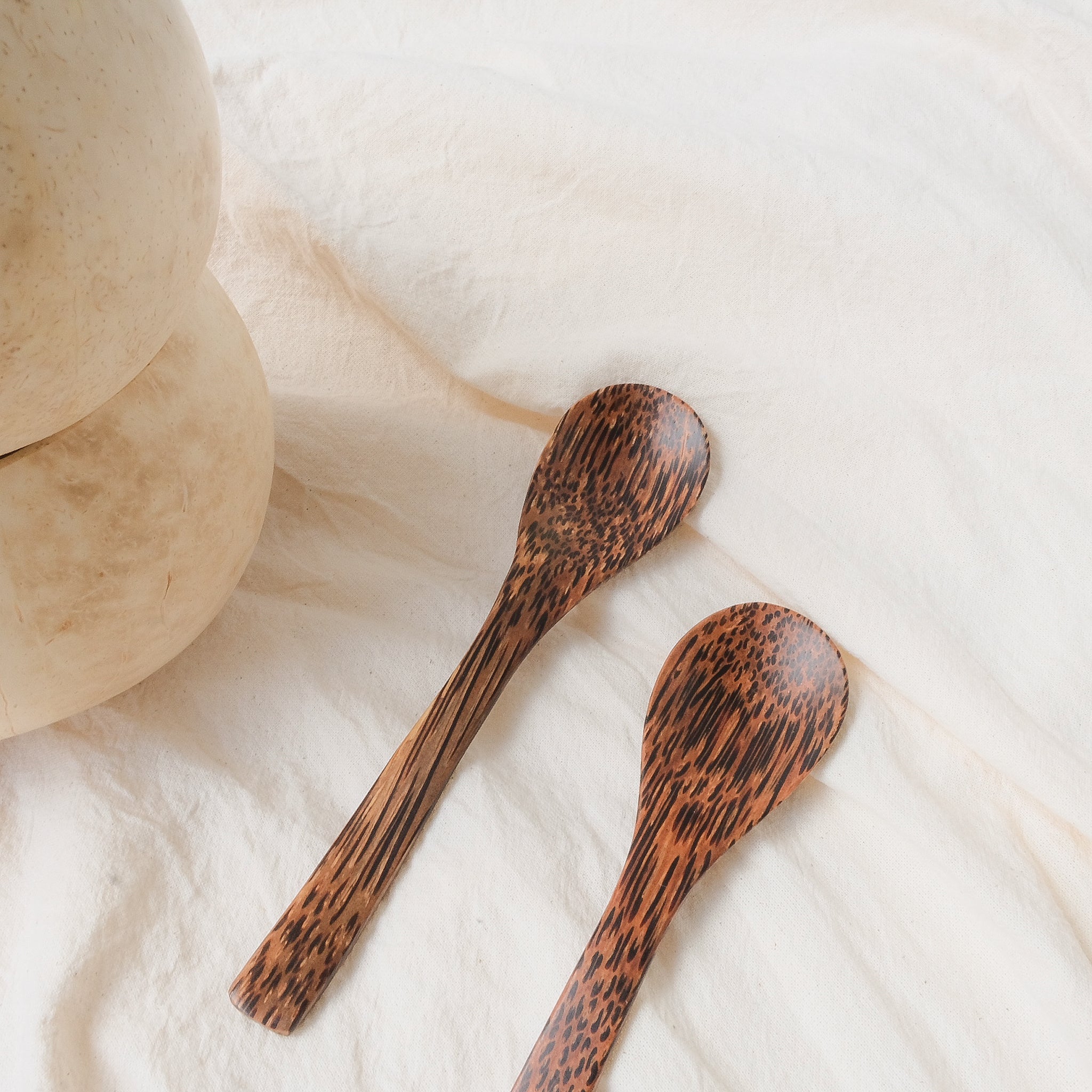 Natural white coconut bowl with a matching coconut wood spoon, showcasing an eco-friendly, handcrafted design with a unique ivory-toned shell