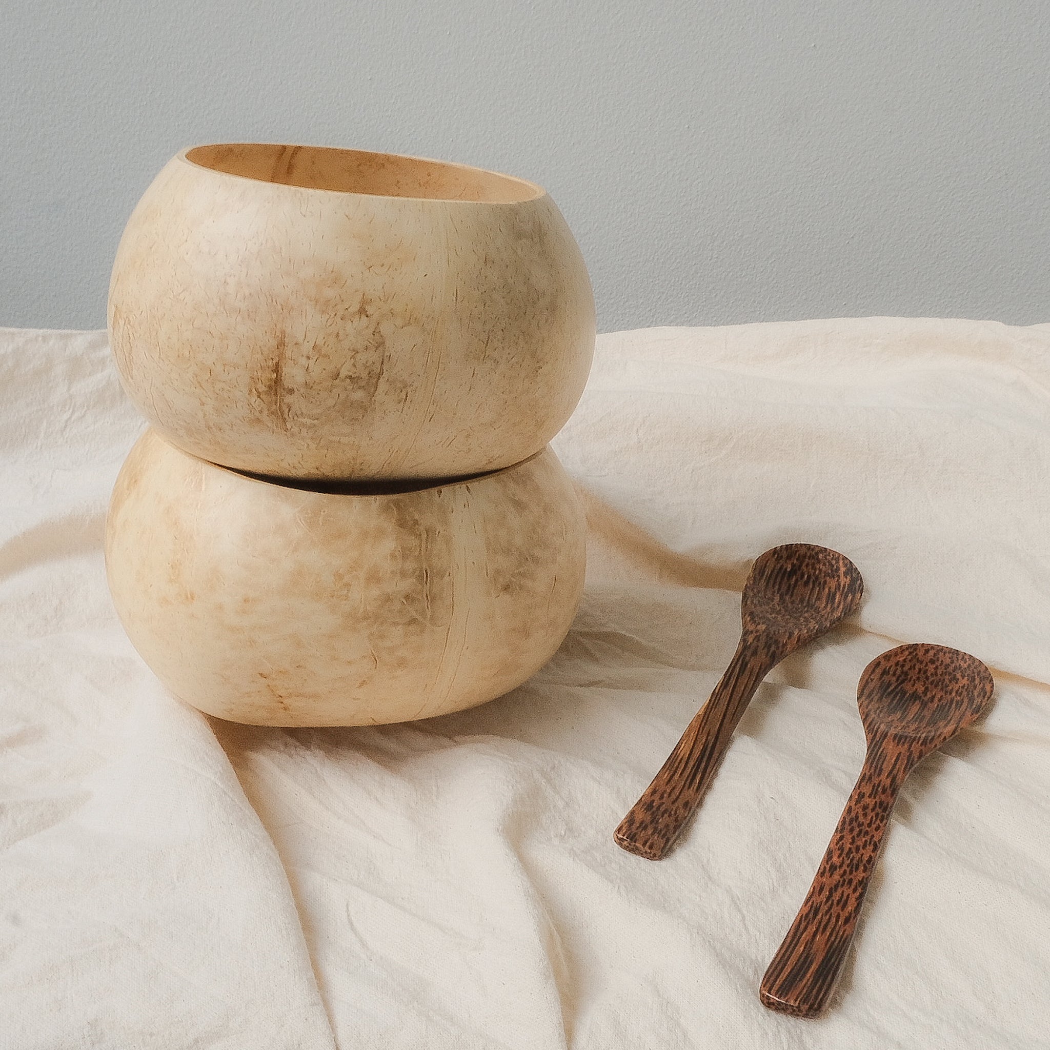 Natural white coconut bowl with a matching coconut wood spoon, showcasing an eco-friendly, handcrafted design with a unique ivory-toned shell