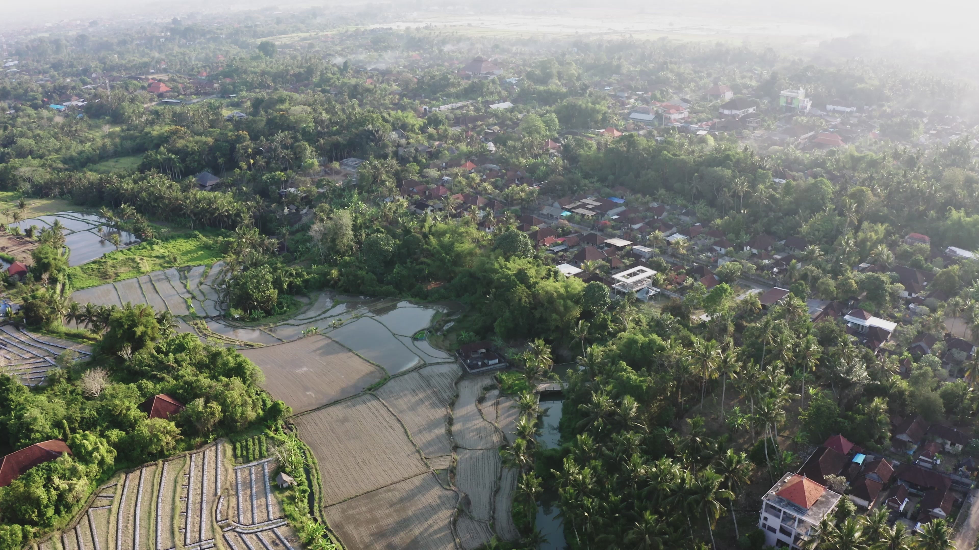 A video about our founder Ira Puspita how she started Kayu&Co. by working with women artisans in the village in Bali. This business has been helping artisans to sustain their livelihood